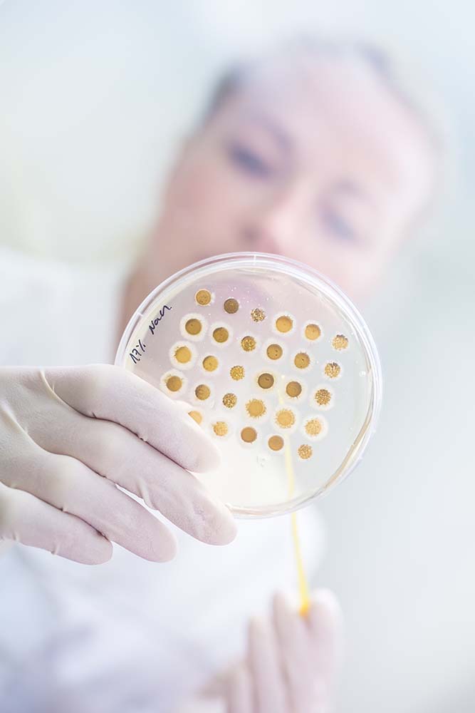 What is the microbiome