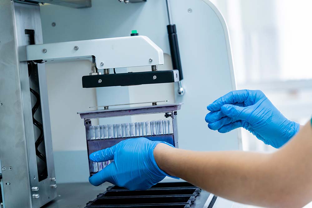 Laboratory assistant works at a modern laboratory.